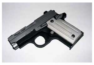 sig_p238_02