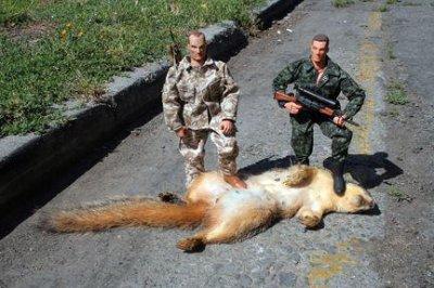 hunting