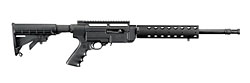 ruger_sr22_01a