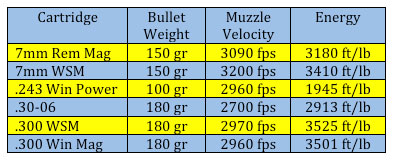 winchester_powermax_table1