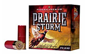 federal_pairie_storm