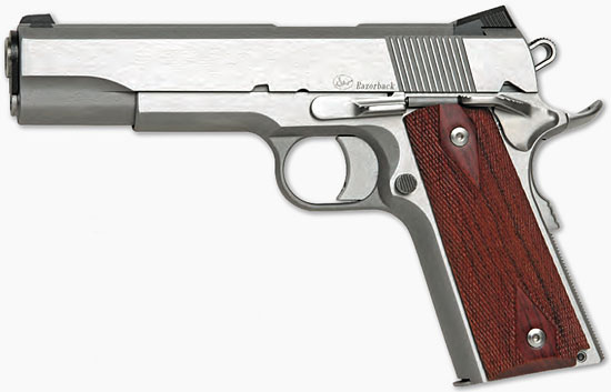 Dan Wesson Razorback 10mm