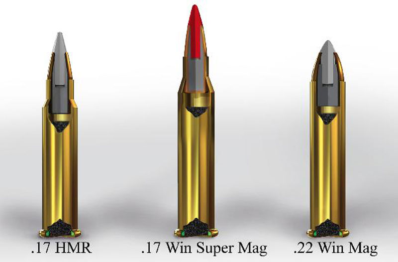 .17 Winchester Super Magnum