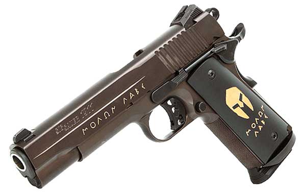 SIG 1911 Spartan picture
