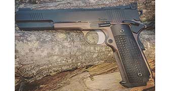 Dan Wesson Bruin featured