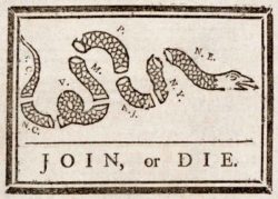 NRA lifetime membership discount with Join or Die flag