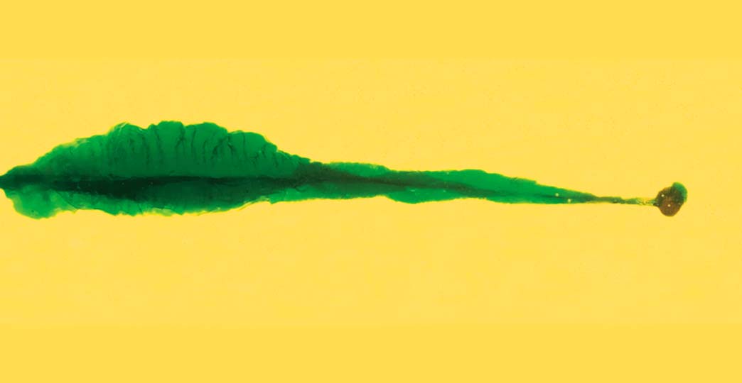 FBI Penetration Ballistic Testing Featured Featured