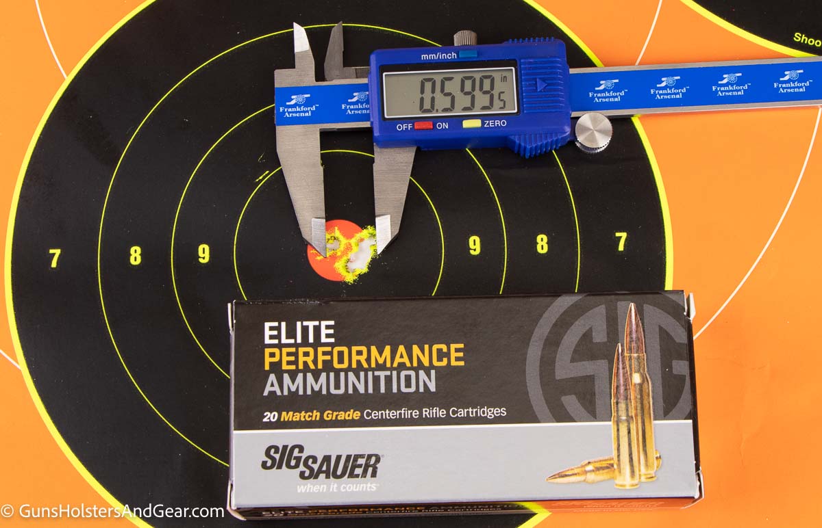 SIG Ammunition Performance Target Photo