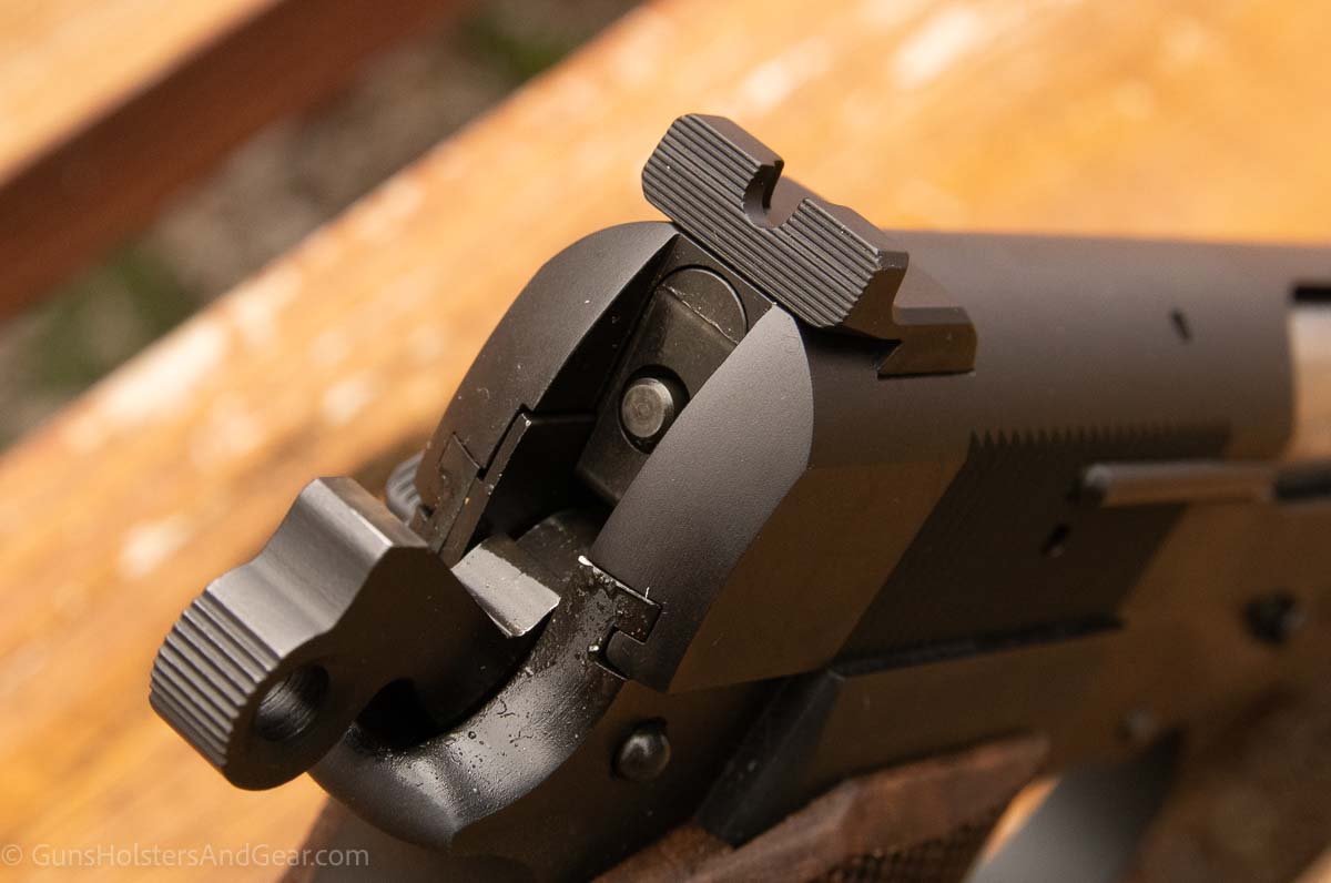 SA-35 rear sight