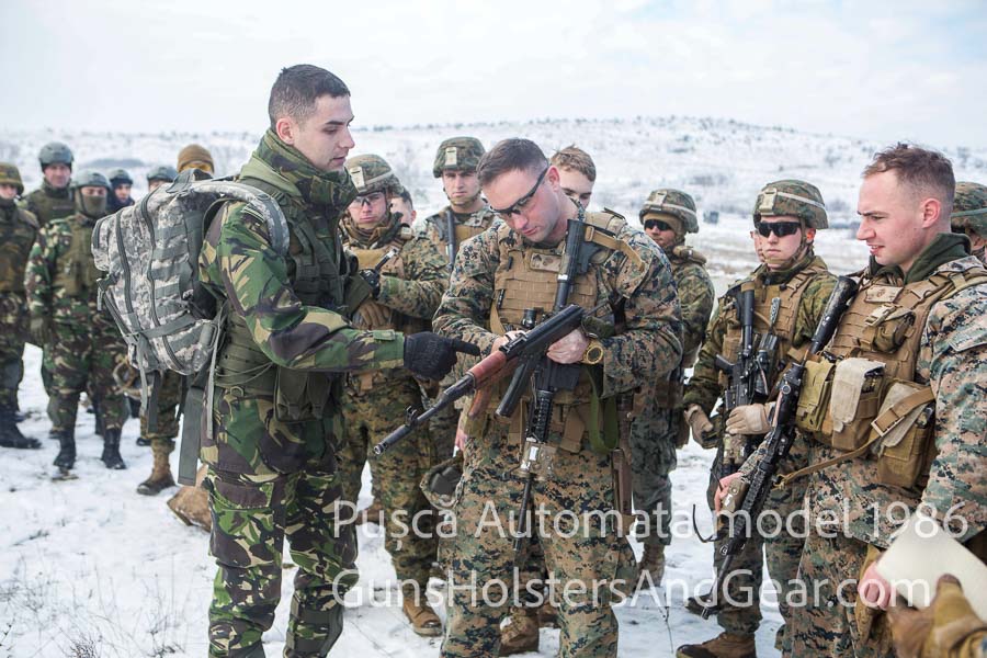 Pus?ca? Automata? model 1986