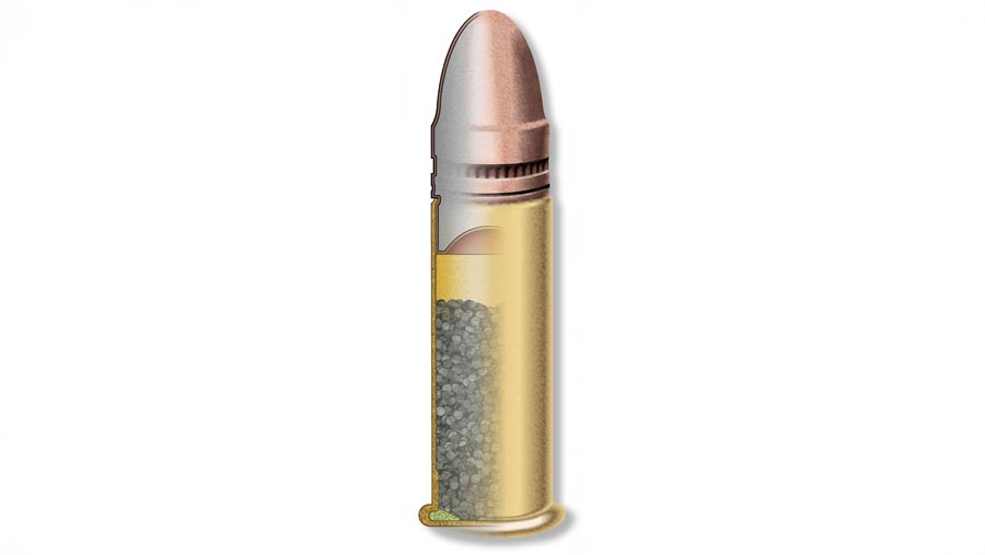 diagram of 22 LR rimfire cartridge