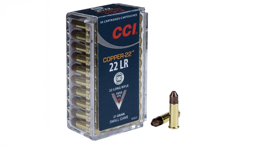 example of 22 LR rimfire ammunition