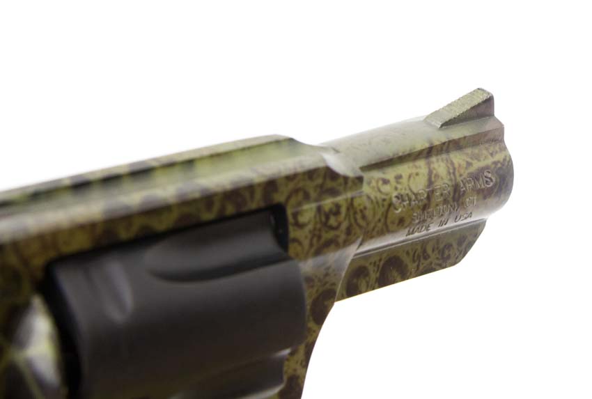 Charter Arms Undercover front sight