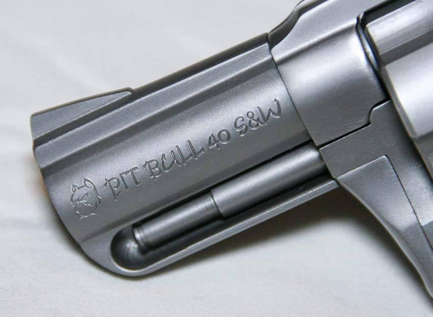 barrel of Charter Arms Pitbull handgun